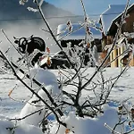Themessl * Kirchbach (Carinthia)