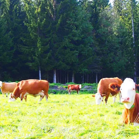 Themessl Kirchbach (Carinthia)