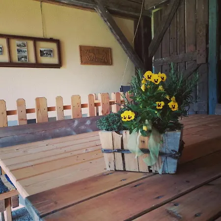 Daire Themessl Kirchbach (Carinthia)