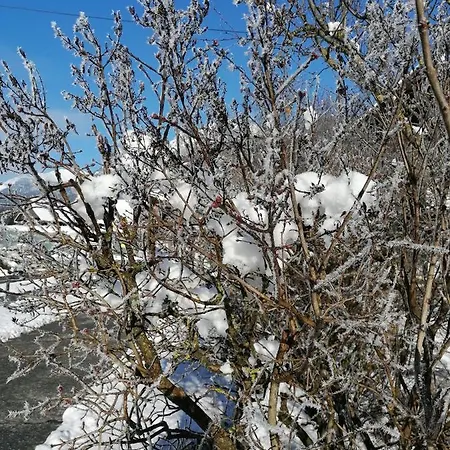 Apartamento Themessl Kirchbach (Carinthia)