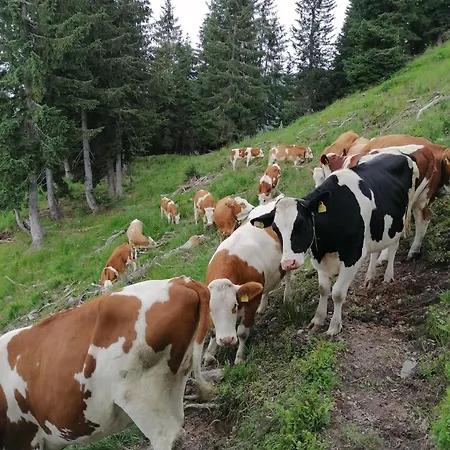 Themessl Apartament *