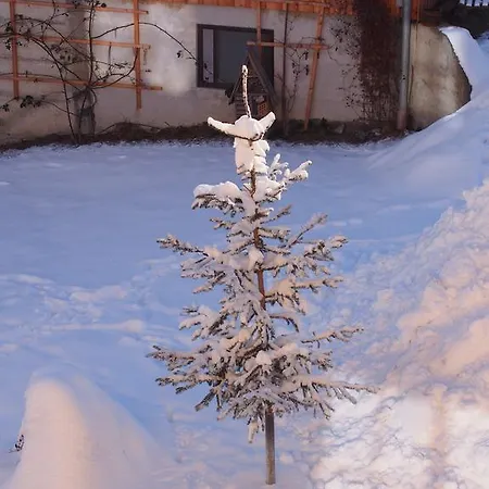 Themessl * Kirchbach (Carinthia)