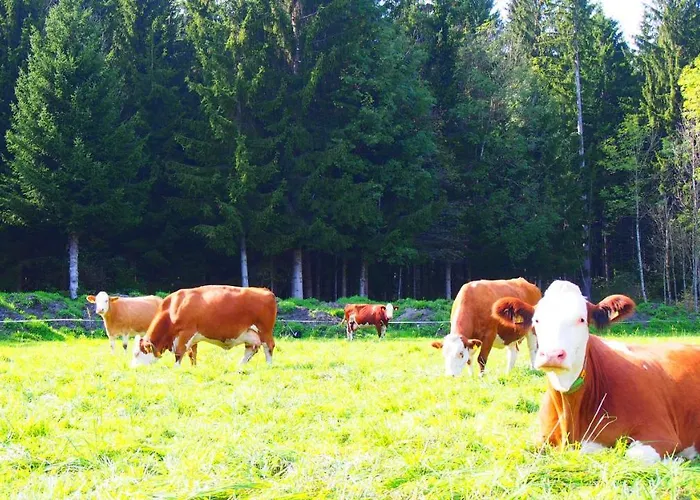 Themessl Kirchbach (Carinthia)