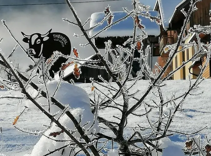 Themessl * Kirchbach (Carinthia)