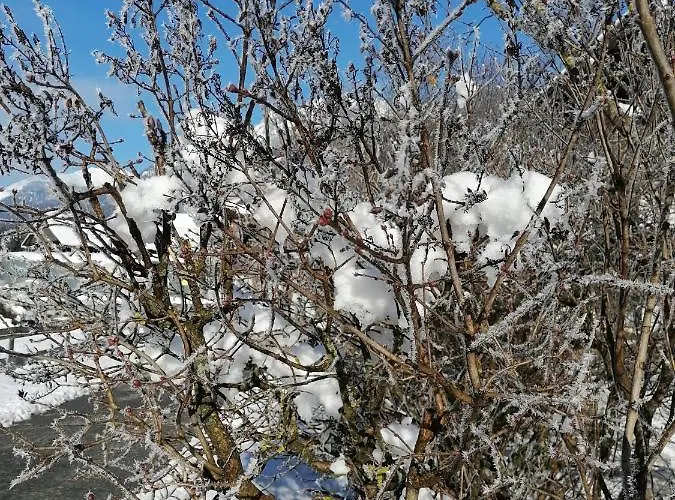 Διαμέρισμα Themessl Kirchbach (Carinthia)