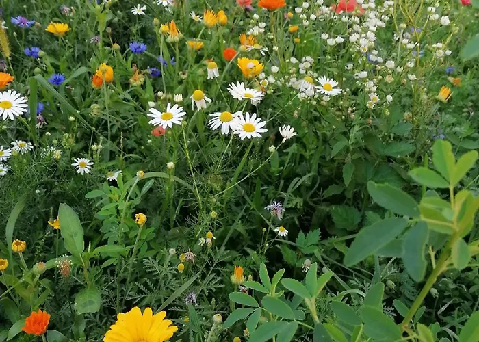 Themessl Kirchbach (Carinthia)