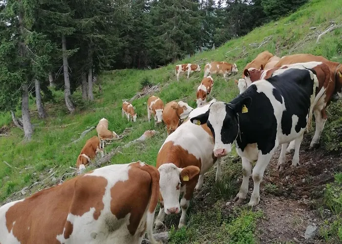 Themessl Apartamento *