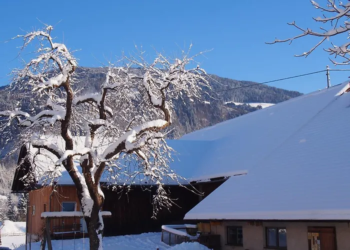 Διαμέρισμα Themessl *