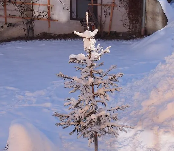 Themessl * Kirchbach (Carinthia)